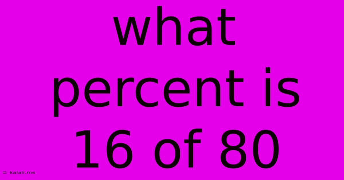 What Percent Is 16 Of 80