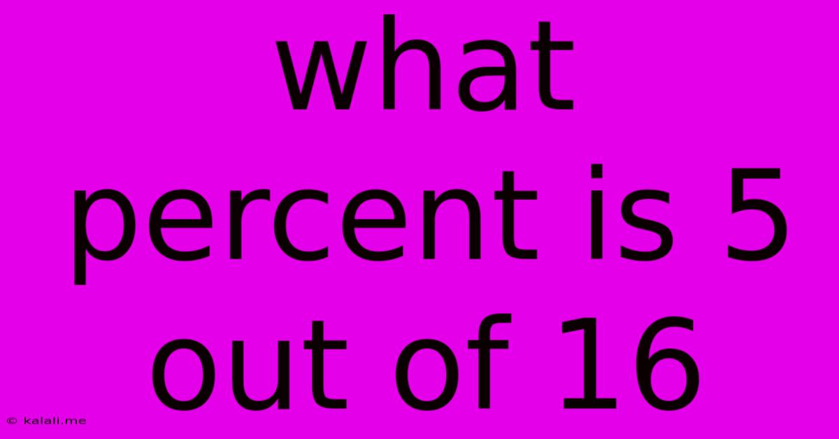 What Percent Is 5 Out Of 16