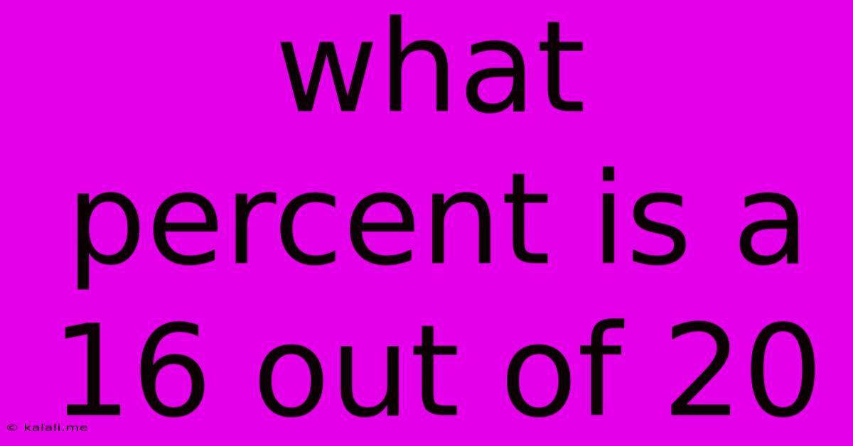 What Percent Is A 16 Out Of 20