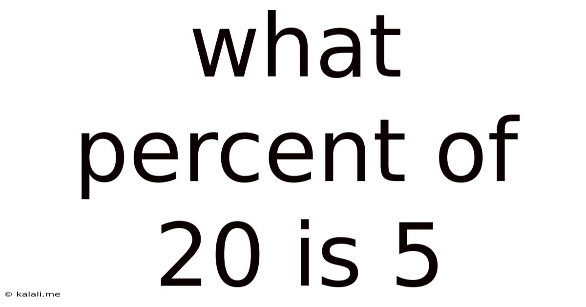 What Percent Of 20 Is 5