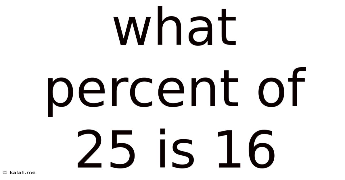 What Percent Of 25 Is 16