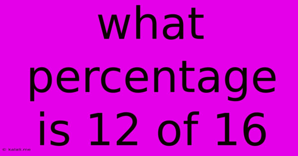 What Percentage Is 12 Of 16