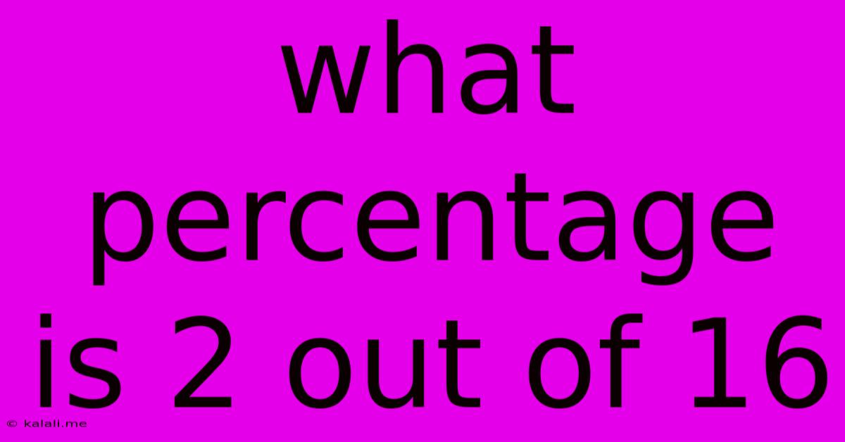 What Percentage Is 2 Out Of 16