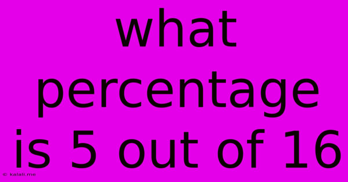 What Percentage Is 5 Out Of 16