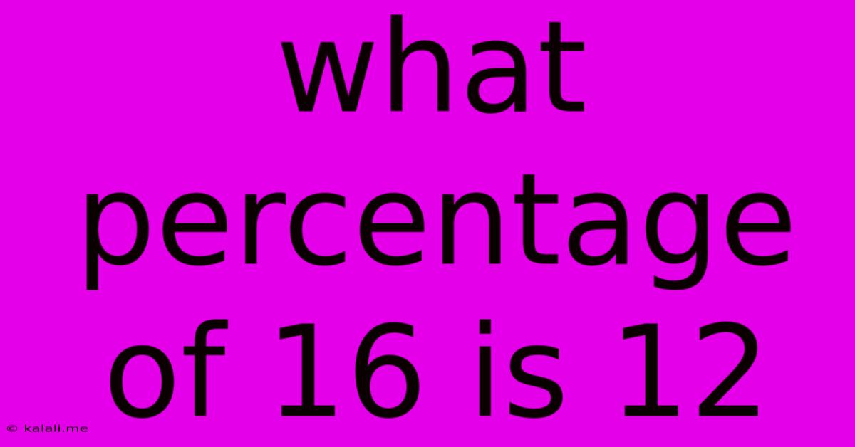 What Percentage Of 16 Is 12