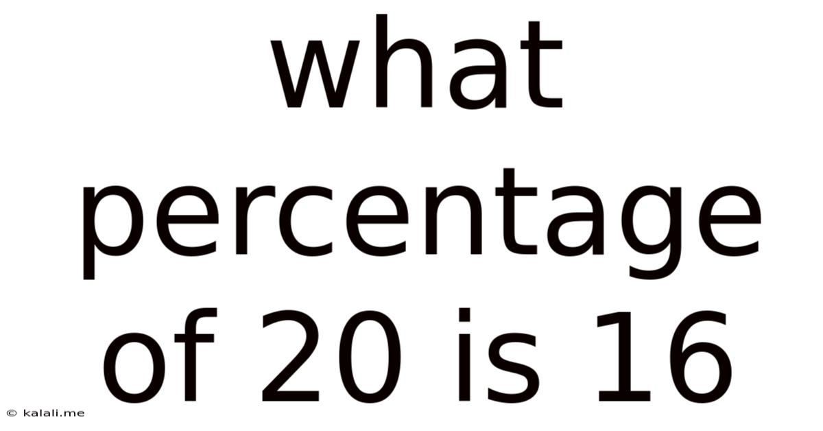 What Percentage Of 20 Is 16