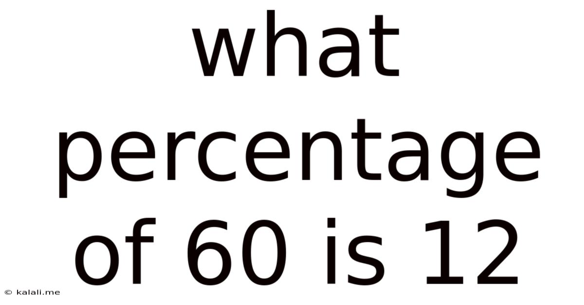 What Percentage Of 60 Is 12