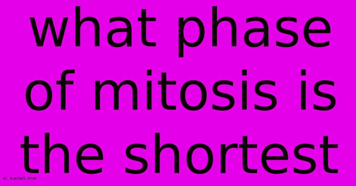 What Phase Of Mitosis Is The Shortest