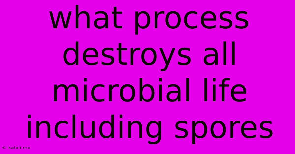 What Process Destroys All Microbial Life Including Spores