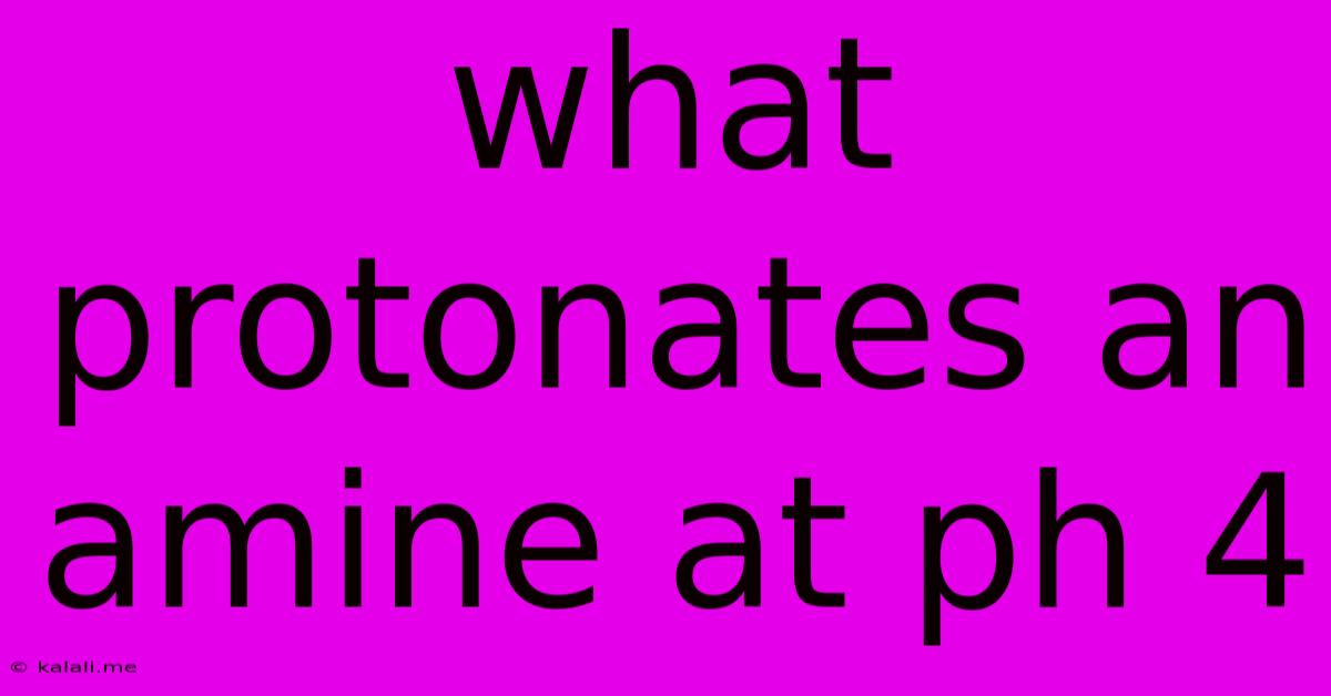 What Protonates An Amine At Ph 4