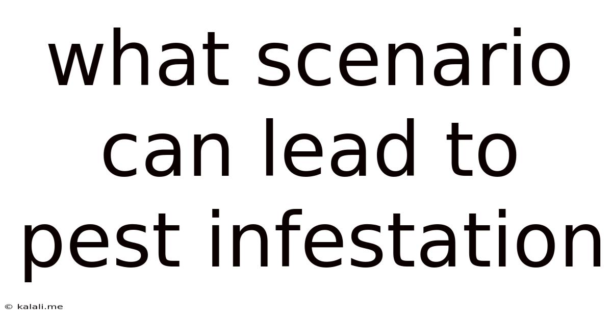 What Scenario Can Lead To Pest Infestation
