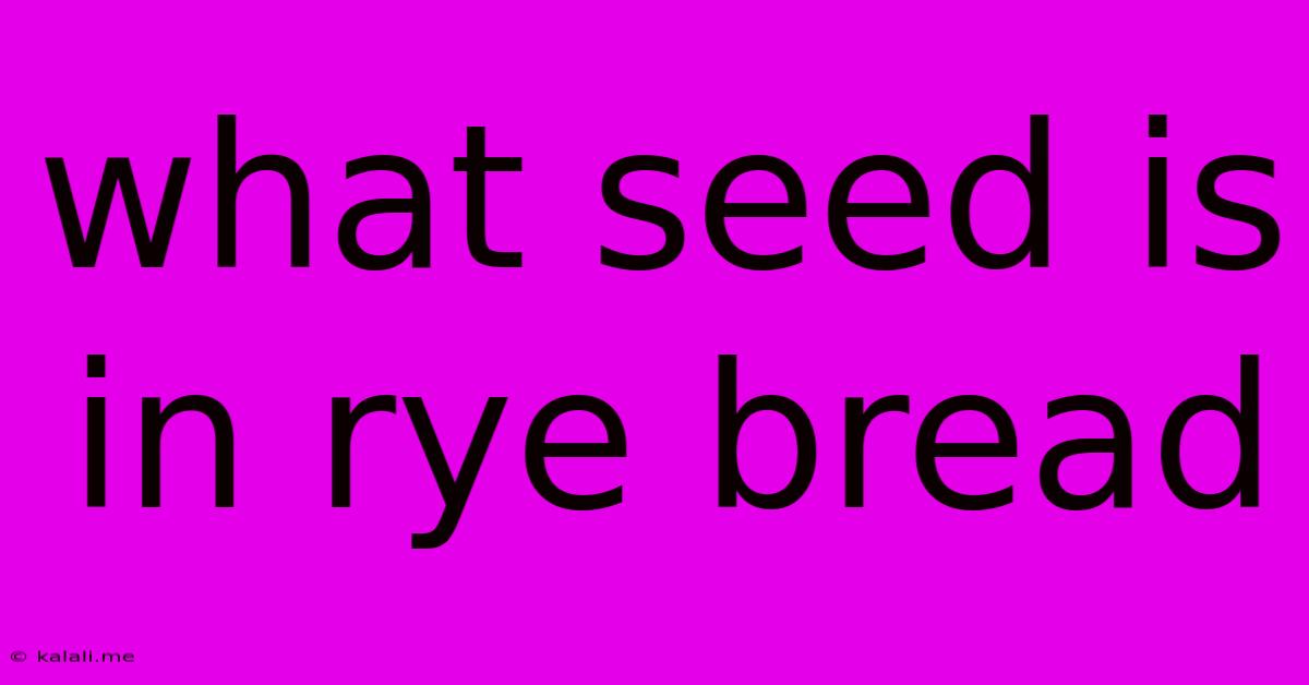 What Seed Is In Rye Bread