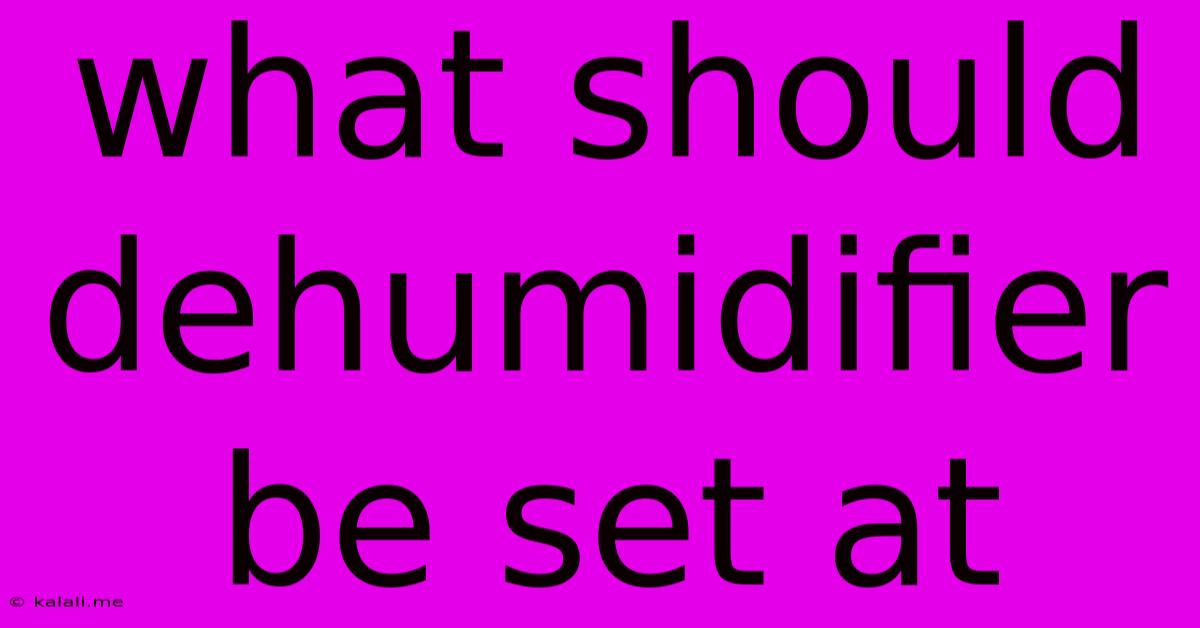 What Should Dehumidifier Be Set At