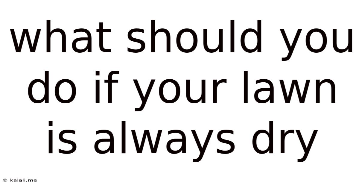 What Should You Do If Your Lawn Is Always Dry