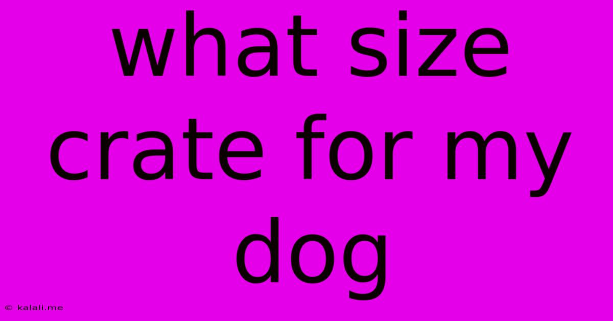 What Size Crate For My Dog