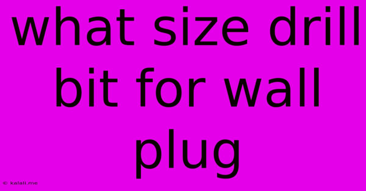What Size Drill Bit For Wall Plug