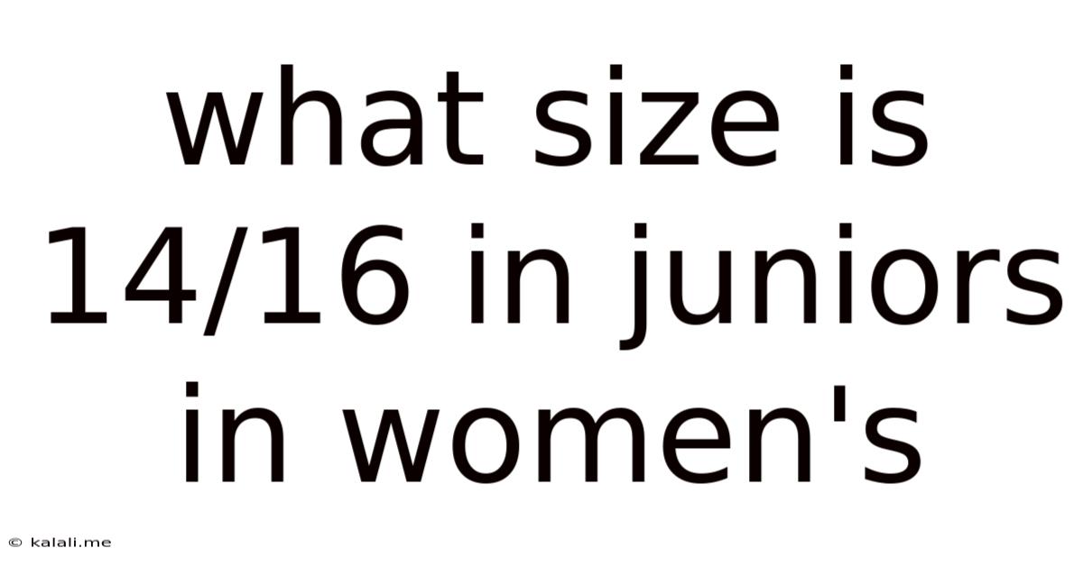 What Size Is 14/16 In Juniors In Women's