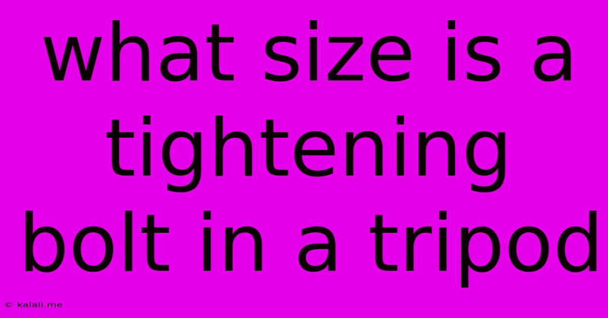 What Size Is A Tightening Bolt In A Tripod