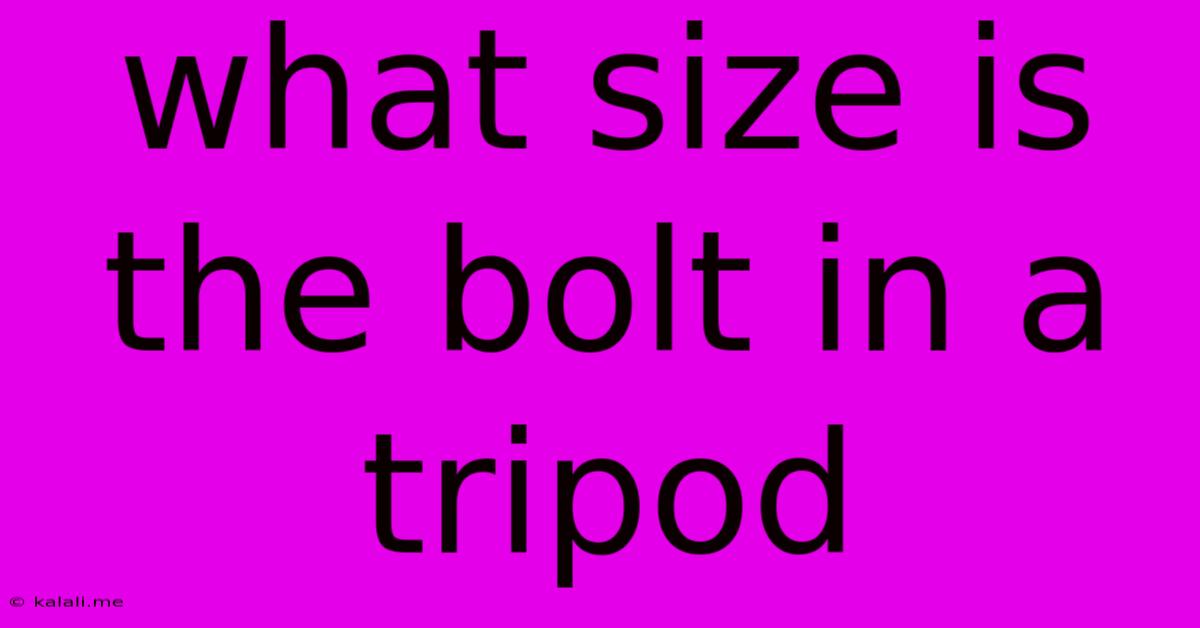 What Size Is The Bolt In A Tripod