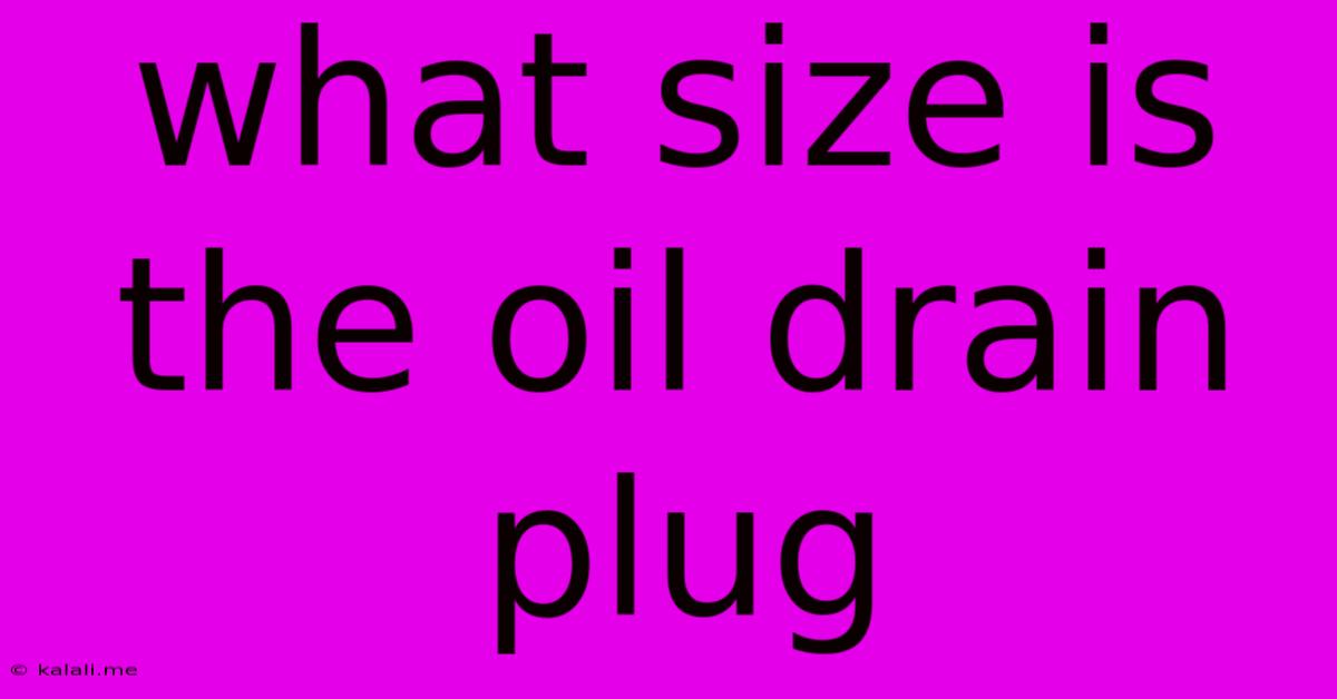 What Size Is The Oil Drain Plug
