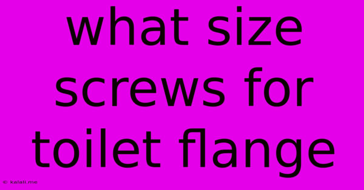 What Size Screws For Toilet Flange