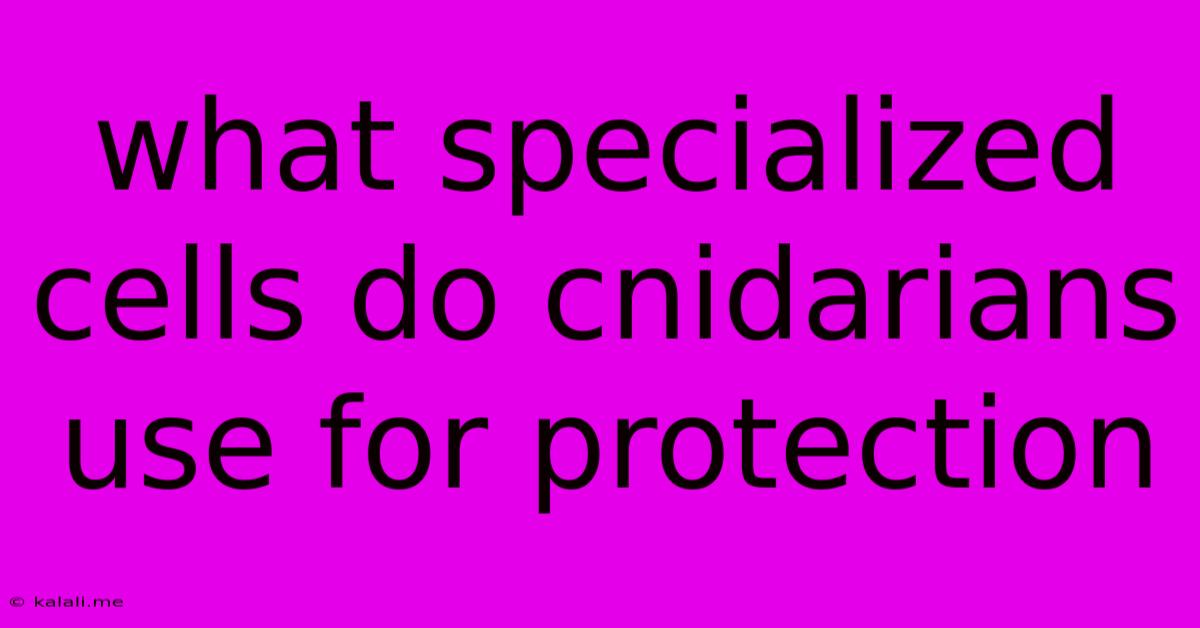 What Specialized Cells Do Cnidarians Use For Protection
