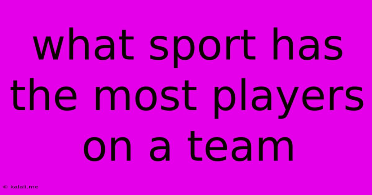 What Sport Has The Most Players On A Team