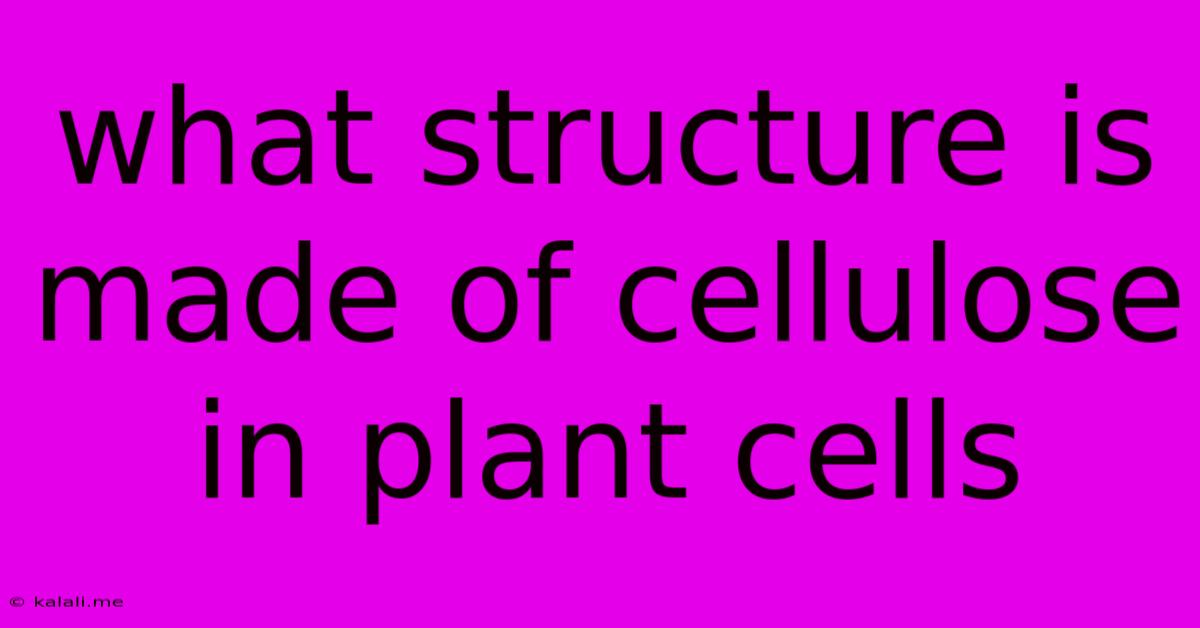 What Structure Is Made Of Cellulose In Plant Cells