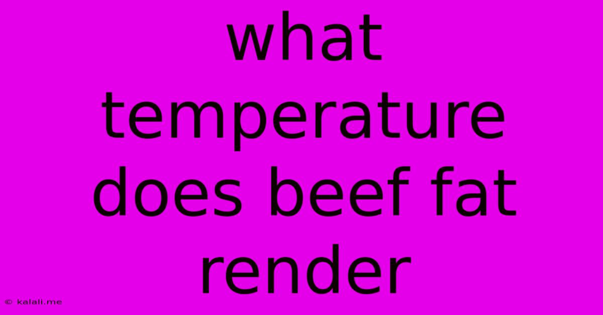 What Temperature Does Beef Fat Render