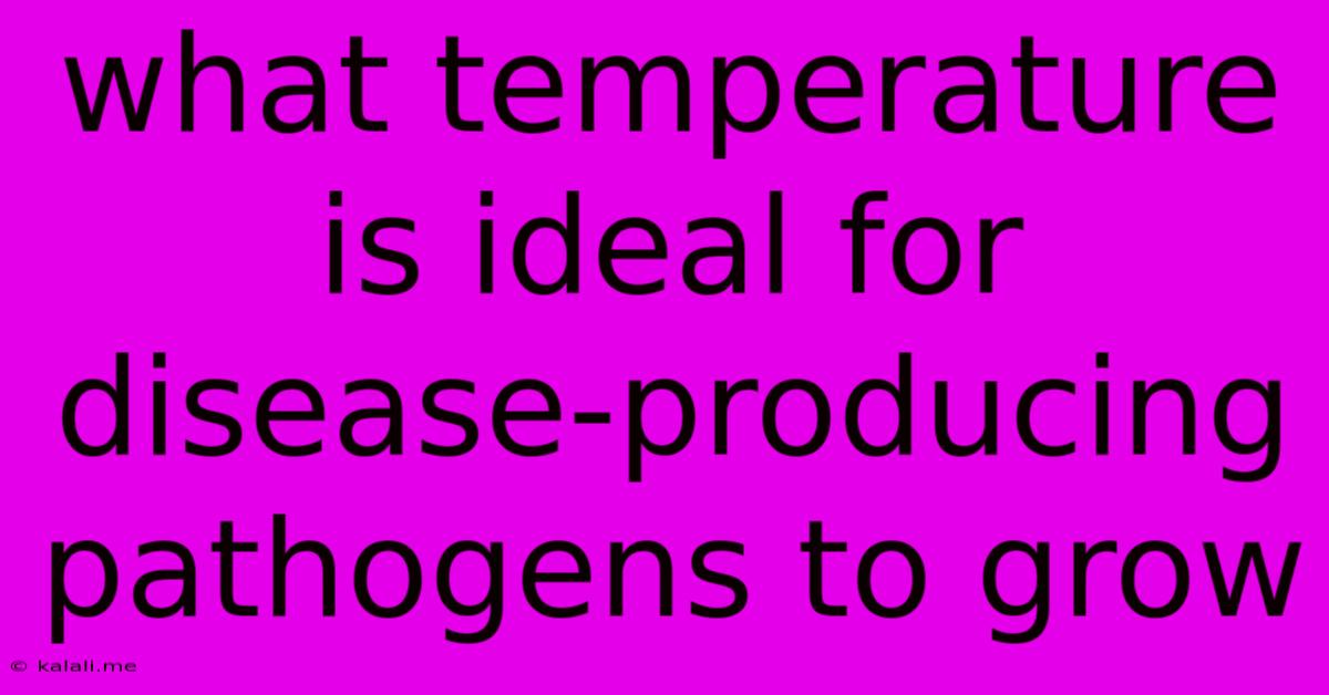 What Temperature Is Ideal For Disease-producing Pathogens To Grow