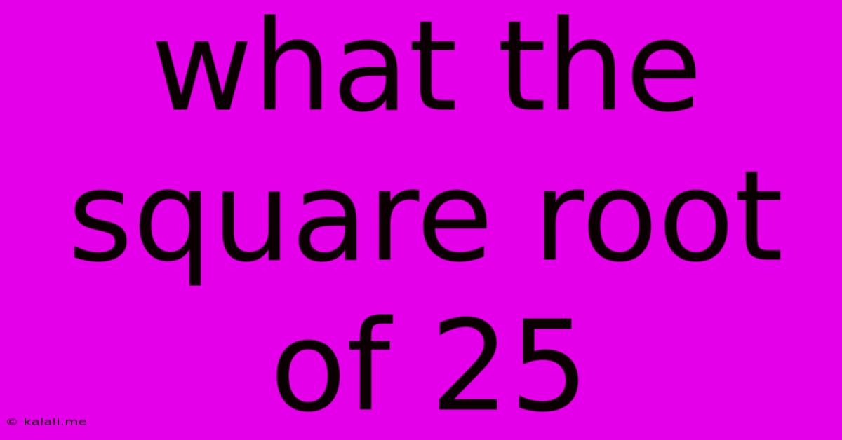 What The Square Root Of 25