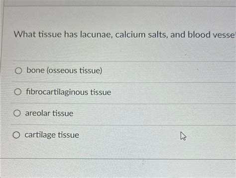 What Tissue Has Lacunae Calcium Salts And Blood Vessels