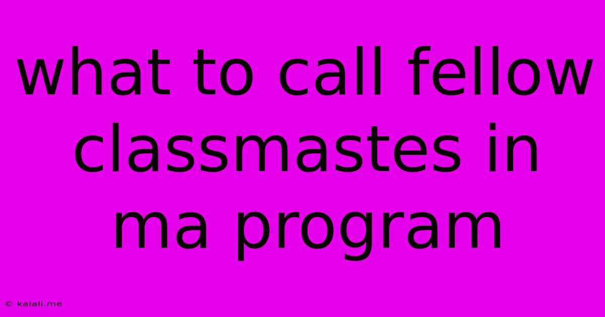 What To Call Fellow Classmastes In Ma Program