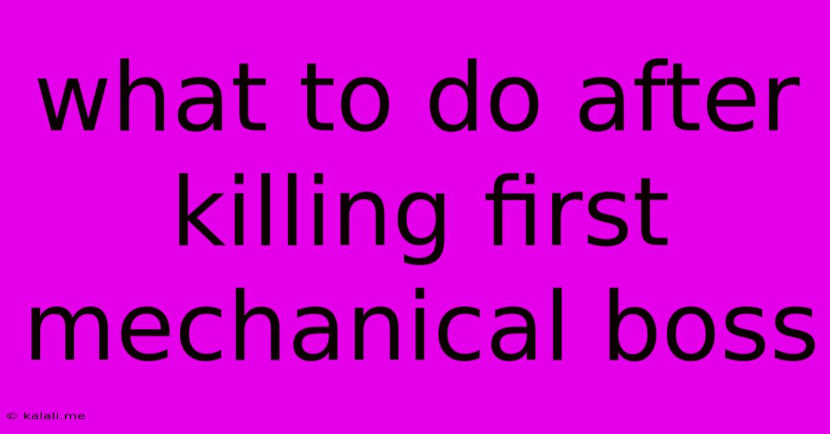 What To Do After Killing First Mechanical Boss