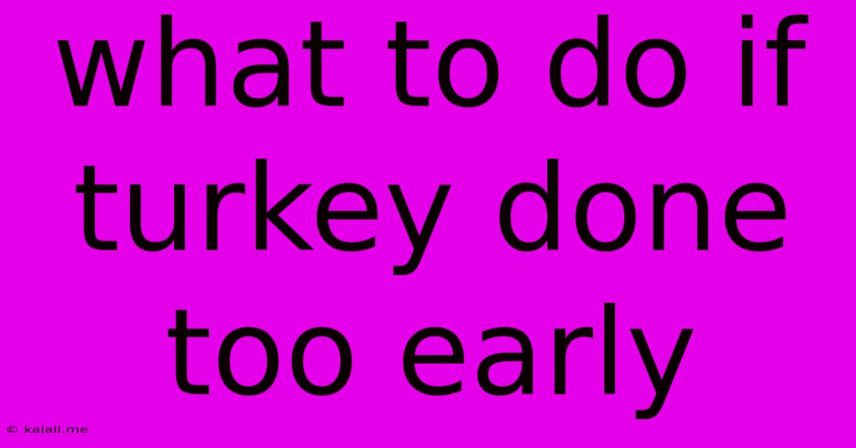 What To Do If Turkey Done Too Early