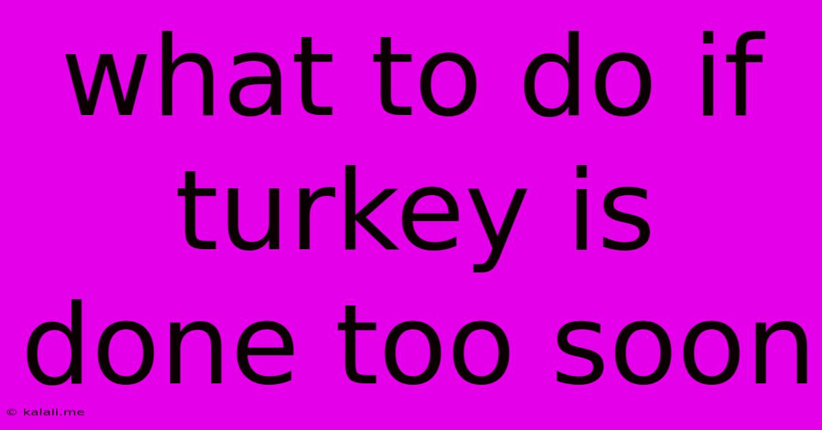What To Do If Turkey Is Done Too Soon