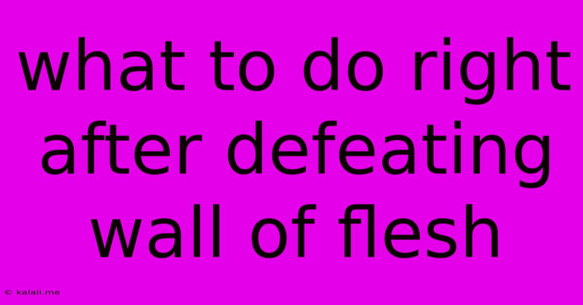 What To Do Right After Defeating Wall Of Flesh