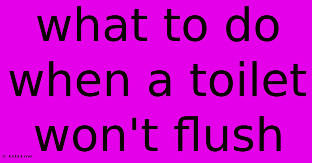 What To Do When A Toilet Won't Flush