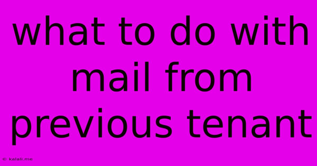 What To Do With Mail From Previous Tenant
