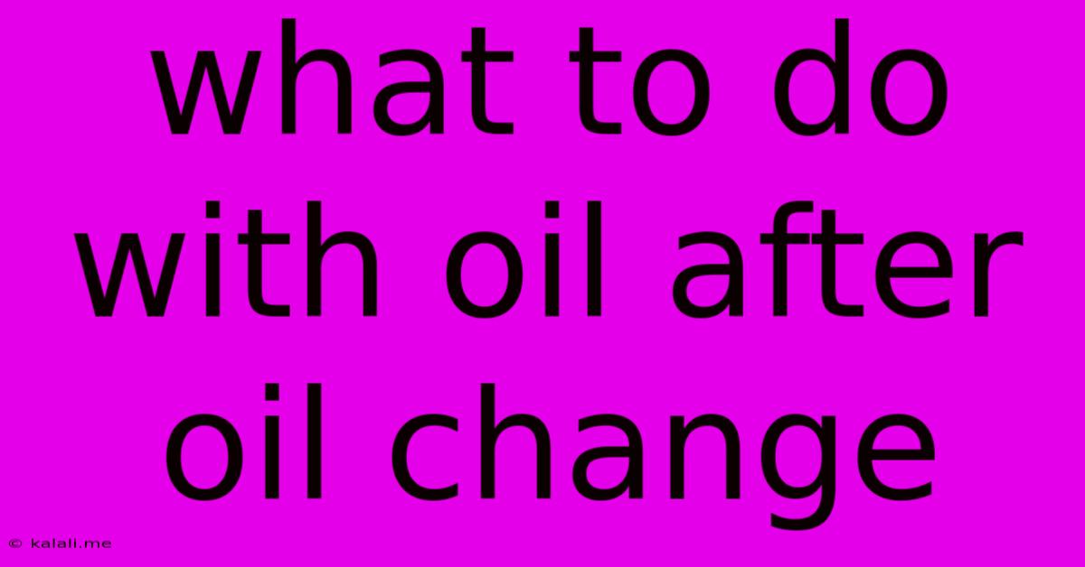 What To Do With Oil After Oil Change