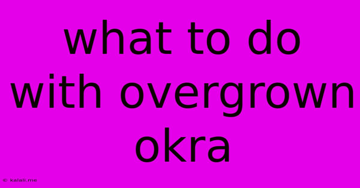 What To Do With Overgrown Okra
