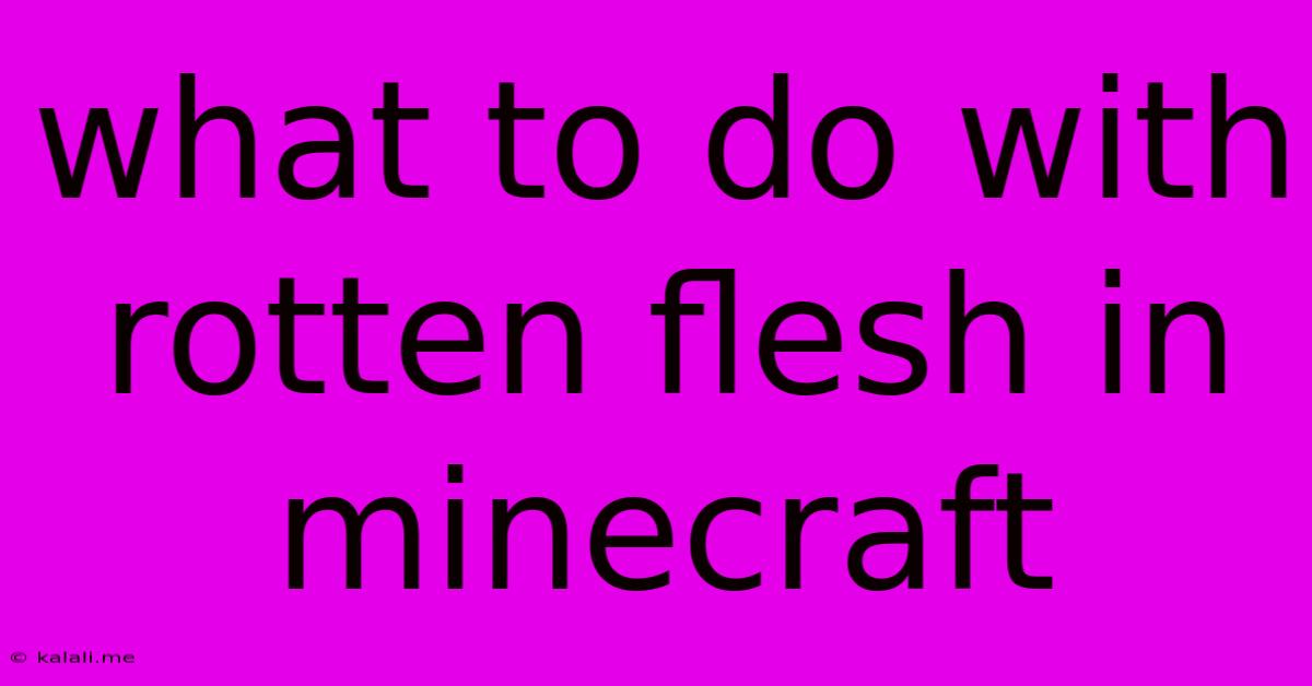 What To Do With Rotten Flesh In Minecraft
