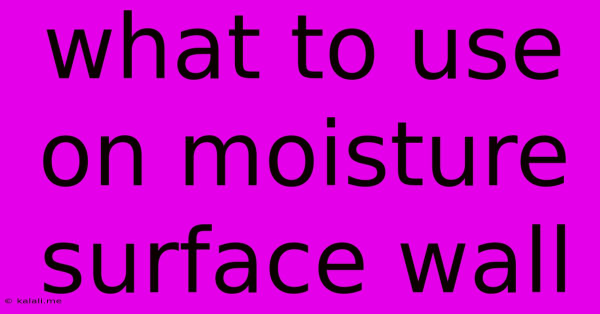 What To Use On Moisture Surface Wall