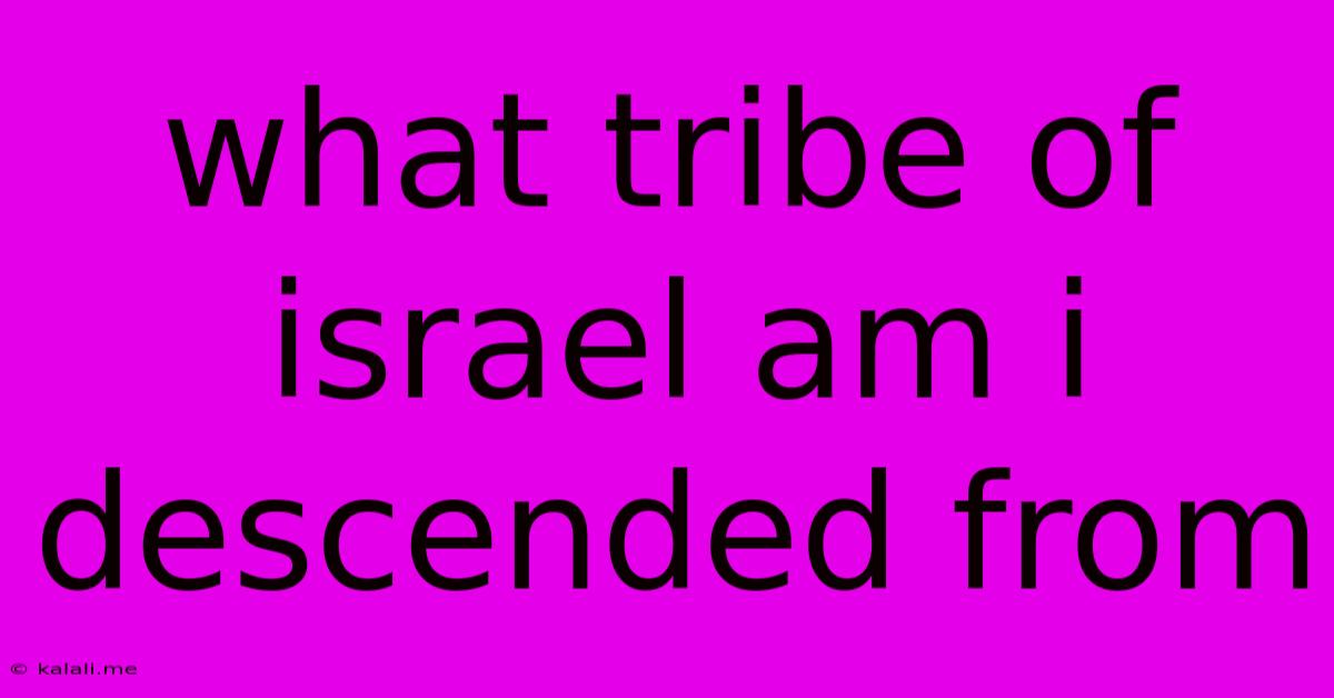 What Tribe Of Israel Am I Descended From