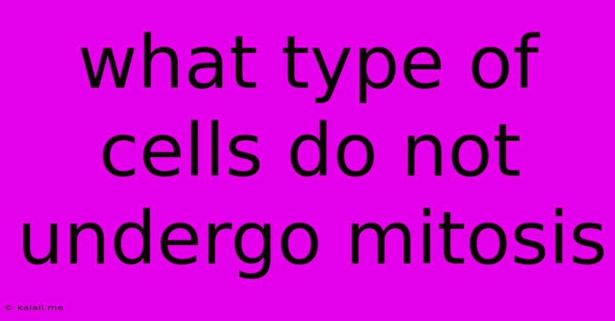 What Type Of Cells Do Not Undergo Mitosis
