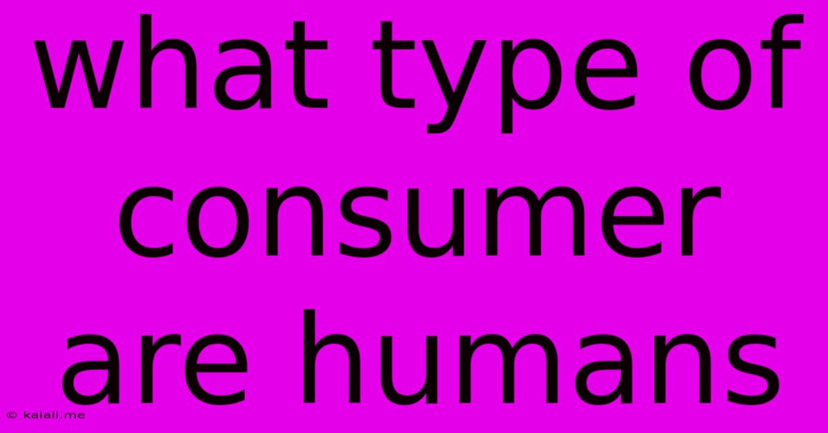 What Type Of Consumer Are Humans