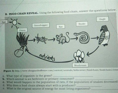 What Type Of Organism Is Grass