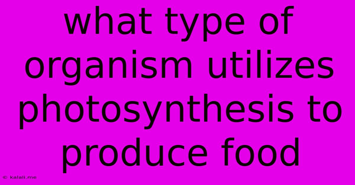 What Type Of Organism Utilizes Photosynthesis To Produce Food