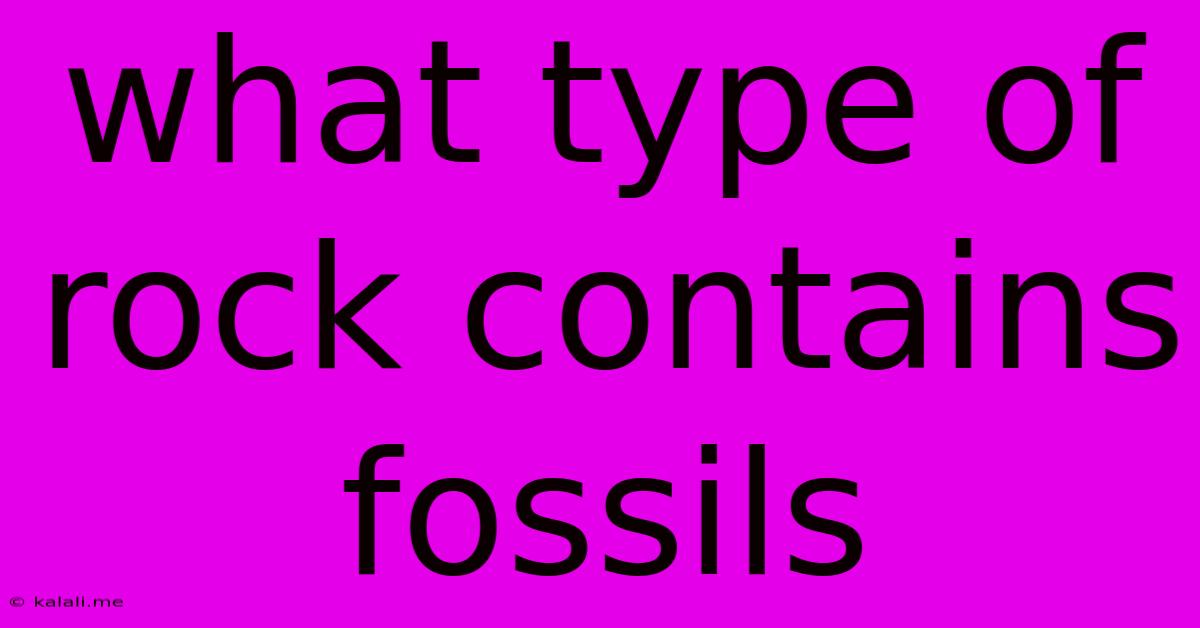 What Type Of Rock Contains Fossils