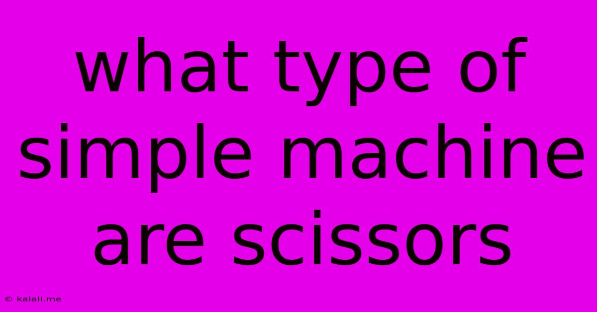 What Type Of Simple Machine Are Scissors
